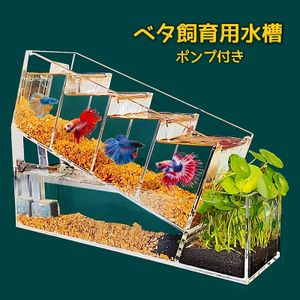 最新作売れ筋が満載 自然の中の飼育箱 苔テラリウム アクアリウム メダカ ベタ イモリ その他 Samysband Com Br