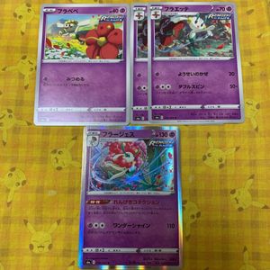 フラエッテの値段と価格推移は 81件の売買情報を集計したフラエッテの価格や価値の推移データを公開