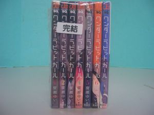 ワンダーラビットガールの値段と価格推移は 44件の売買情報を集計したワンダーラビットガールの価格や価値の推移データを公開