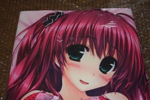 Sale 37 Off 紅藤友梨亜 サキガケ ジェネレーション 御敷仁 クロシェット 抱き枕カバー 送料無料 新品未開封 正規品 ライクトロン 抱き枕 Hlt No