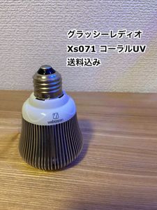 Grassy Ledioの値段と価格推移は 18件の売買情報を集計したgrassy Ledioの価格や価値の推移データを公開