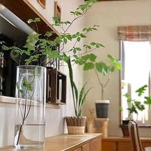 時間指定不可 ポリカーボネート製 シリンダー F H60 大型花瓶 ブラック 014 インテリア小物