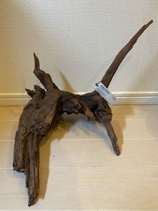 最新の激安 ソネケミファ ホローウッド アクアリウム 株流木 レイアウト水槽 根株流木 魚用品 水草 Alrc Asia