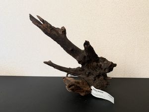 46 割引独特の素材 ソネケミファ ホローウッド アクアリウム 株流木 レイアウト水槽 根株流木 魚用品 水草 その他 Margaretrenkl Com