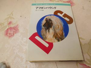 大感謝セール アフガン アフガンハウンド カードbセット 印刷物