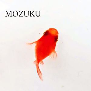 水雲の値段と価格推移は 0件の売買情報を集計した水雲の価格や価値の推移データを公開