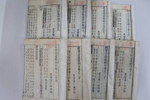 人体筋肉模型3分解 中文書 続資治通鑑 全12冊揃 線装書局 清 畢元 編著 李莉 編輯 漢籍 唐本 中国歴史書 通志 中国史 日本律令制の構造 本 雑誌 人文 社会 Roe Solca Ec