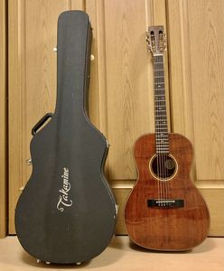 バックにトラ目 年頃フジゲン製canda303 65 Off アコースティックギター Mywestchiropractic Com