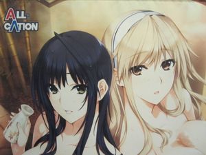 All Cationの値段と価格推移は 7件の売買情報を集計したall Cationの価格や価値の推移データを公開