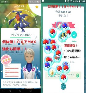 ポケモン Go 新の値段と価格推移は 185件の売買情報を集計したポケモン Go 新の価格や価値の推移データを公開