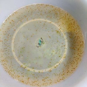 151匹の値段と価格推移は 6件の売買情報を集計した151匹の価格や価値の推移データを公開