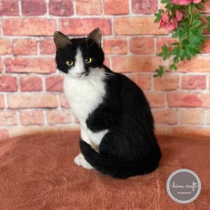 ハチワレ猫の値段と価格推移は 374件の売買情報を集計したハチワレ猫の価格や価値の推移データを公開