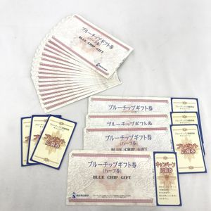 送料無料 ブルーチップ ハーフ券 100枚セット 応募券付 Www Aerotown Com Br