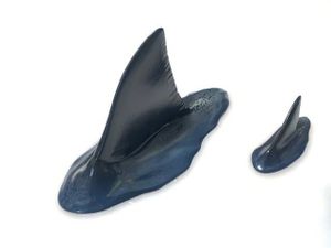 標本 鮫の値段と価格推移は 604件の売買情報を集計した標本 鮫の価格や価値の推移データを公開