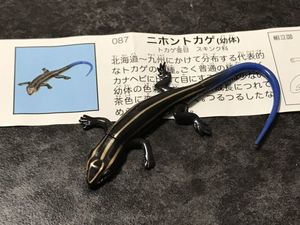 ニホントカゲの値段と価格推移は 26件の売買情報を集計したニホントカゲの価格や価値の推移データを公開