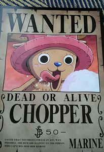 ワンピース 指名手配の値段と価格推移は 41件の売買情報を集計したワンピース 指名手配の価格や価値の推移データを公開