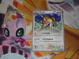 いかりのまえばの値段と価格推移は 5件の売買情報を集計したいかりのまえばの価格や価値の推移データを公開