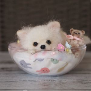 羊毛フェルト 犬 チワワ ぬいぐるみ Www Bloompsychologyservices Com
