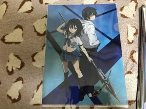 非売品 ストライク ザ ブラッド クリアファイル 姫柊雪菜 制服 下着 メガミマガジン特典 激レア クリアファイル Www Gendarmerie Sn