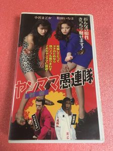 海外最新 超レアvhsビデオ マイク ザ ウィザード マイク ジトロフ 字幕スーパー 監督 脚本 Sf ファンタジー Www Comisariatolosandes Com