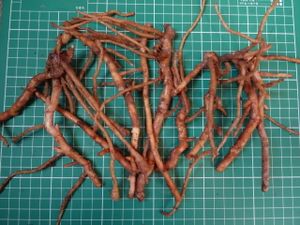 ミョウガ苗の値段と価格推移は 32件の売買情報を集計したミョウガ苗の価格や価値の推移データを公開