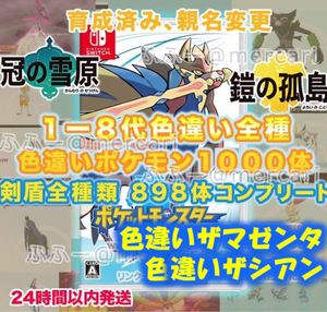 ポケットモンスター ソード シールド 全国図鑑完成 色違い全種 ゼラオラ