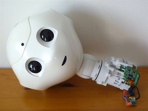 人型ロボットの値段と価格推移は 9件の売買情報を集計した人型ロボットの価格や価値の推移データを公開