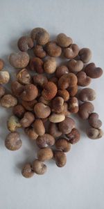 バオバブ 種の値段と価格推移は 35件の売買情報を集計したバオバブ 種の価格や価値の推移データを公開