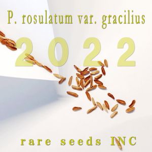 Pachypodium Gracilius 種の値段と価格推移は 29件の売買情報を集計したpachypodium Gracilius 種 の価格や価値の推移データを公開