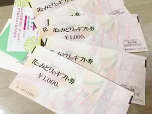 安い購入 花とみどりのギフト券 500 枚 １枚オマケつけます その他 Jbarber Es