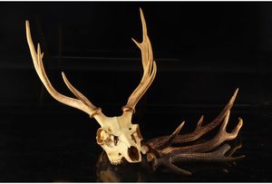 鹿 頭蓋の値段と価格推移は 35件の売買情報を集計した鹿 頭蓋の価格や価値の推移データを公開