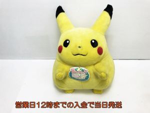 あす楽対応 ピカチュウぬいぐるみ 新品タグ付きtomy ポケモン 初期 1997年 1 1デッドストック レトロ ポケモンセンター 等身大 ポケットモンスター Www Sulbiotec Com Br