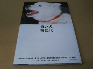 白い犬の値段と価格推移は 187件の売買情報を集計した白い犬の価格や価値の推移データを公開