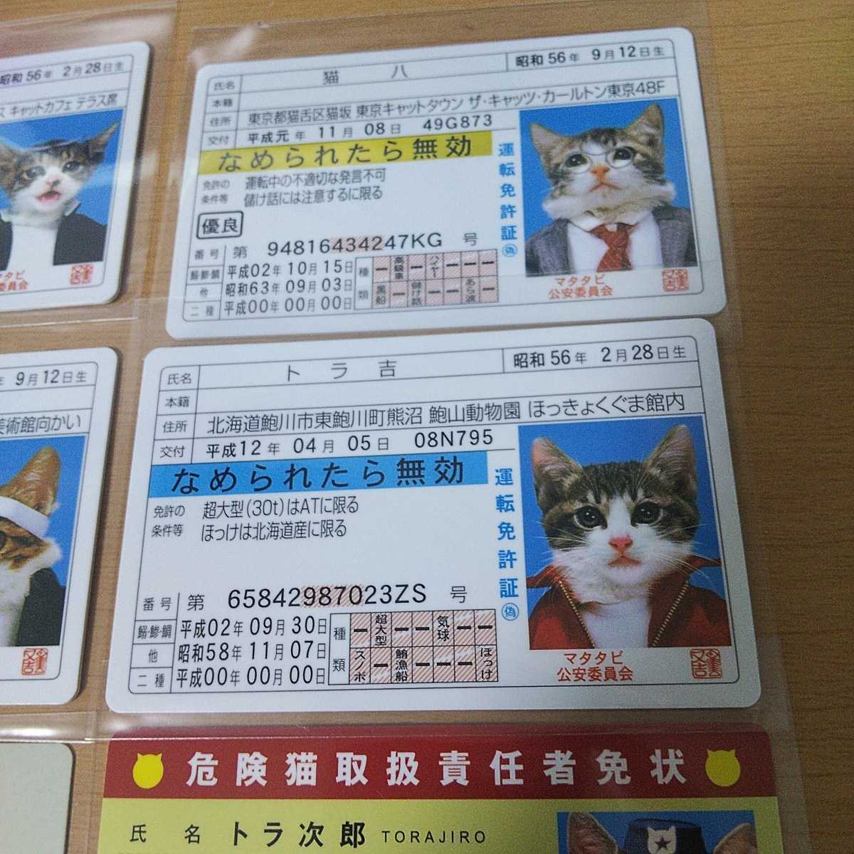 懐かしのなめ猫の免許証です 未使用 Taisetsu Na アイカツ Watanegypt Tv