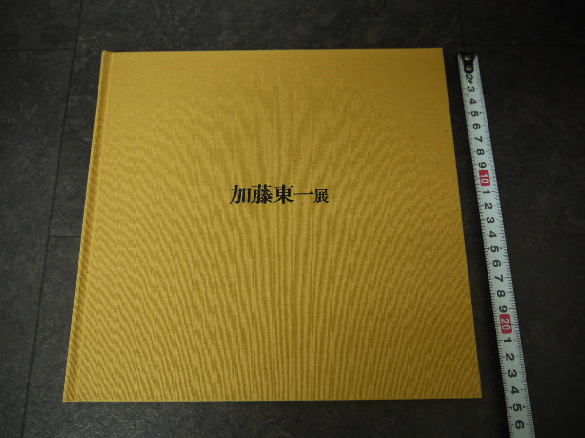 91 加藤東一展 ＜日本画＞ 長良川流転 図録 絵画 作品集 昭和57年  
