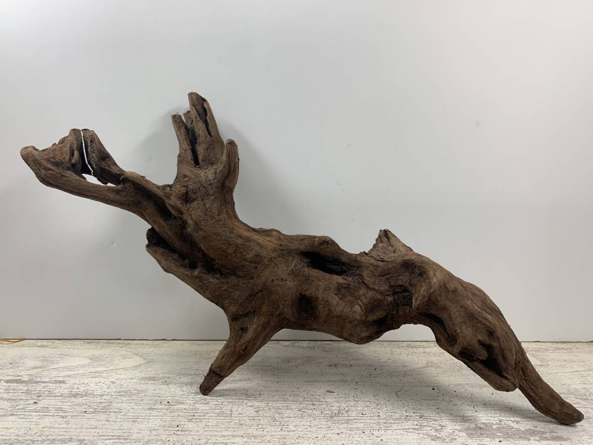 マングローブ系流木【aquariver_No.1745】 Lサイズ ☆オンリーワン (W