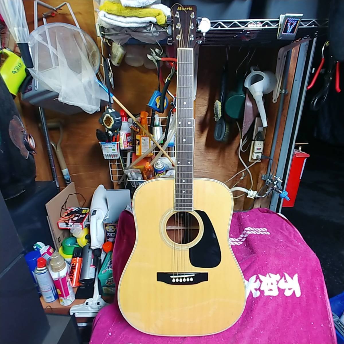Morris MD505アコースティックギター
