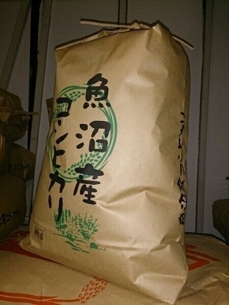 南魚沼産コシヒカリ しおざわ西山地区 令和7年産 玄米24kg 南魚沼産