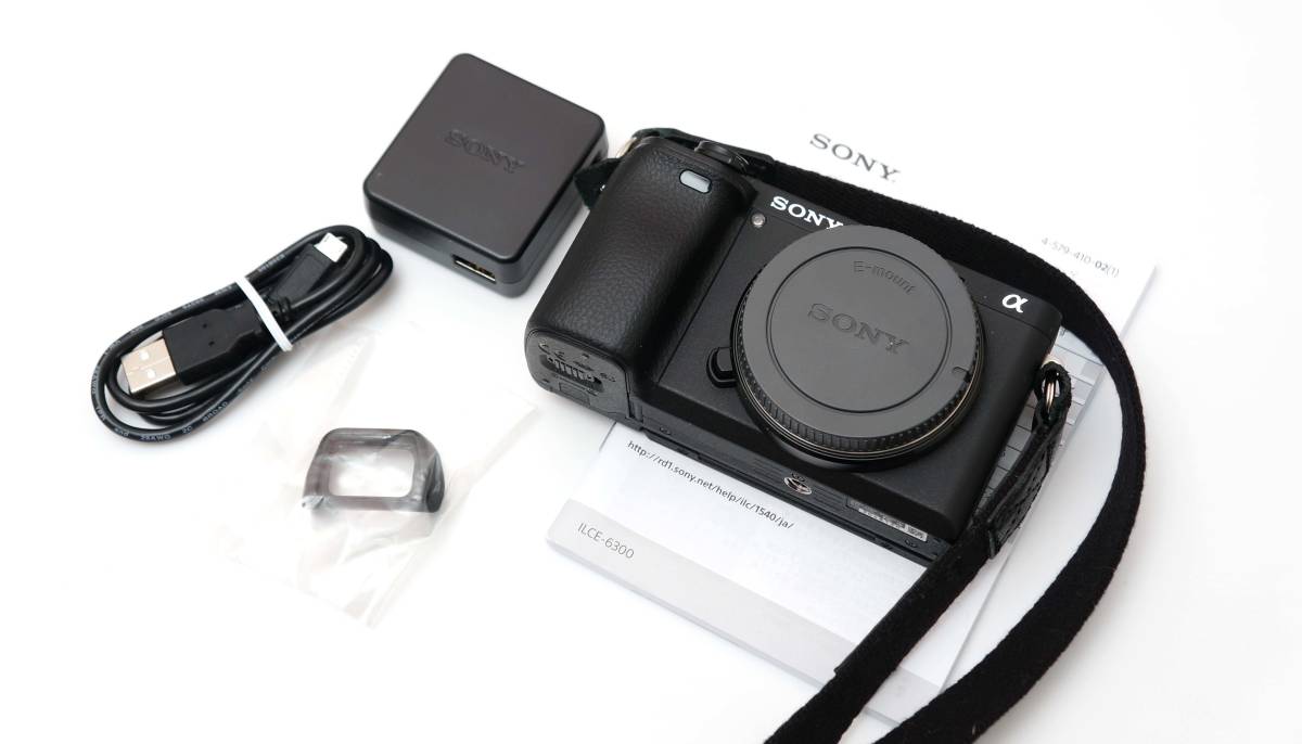 SONY ILCE-6300 / α6300 本体 ●美品/ショット数636枚