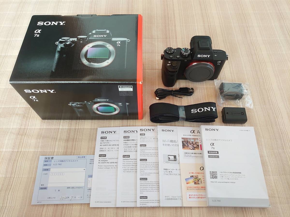 ☆ SONY ソニー NEX-F3 ミラーレス一眼レフ 3.5-5.6/18-55 ソフト