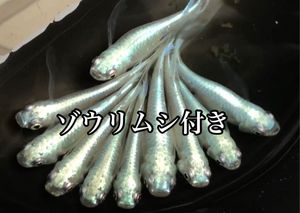 メダカ みゆきのヤフオク の相場 価格を見る ヤフオク のメダカ みゆきのオークション売買情報は125件が掲載されています