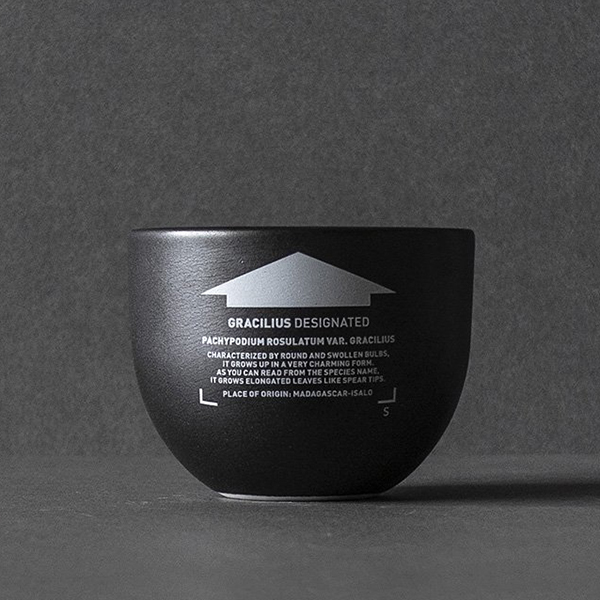 最安値，大人気 VALIEM ROUGH BOWL S01 ブラック Sサイズ POT ラフ
