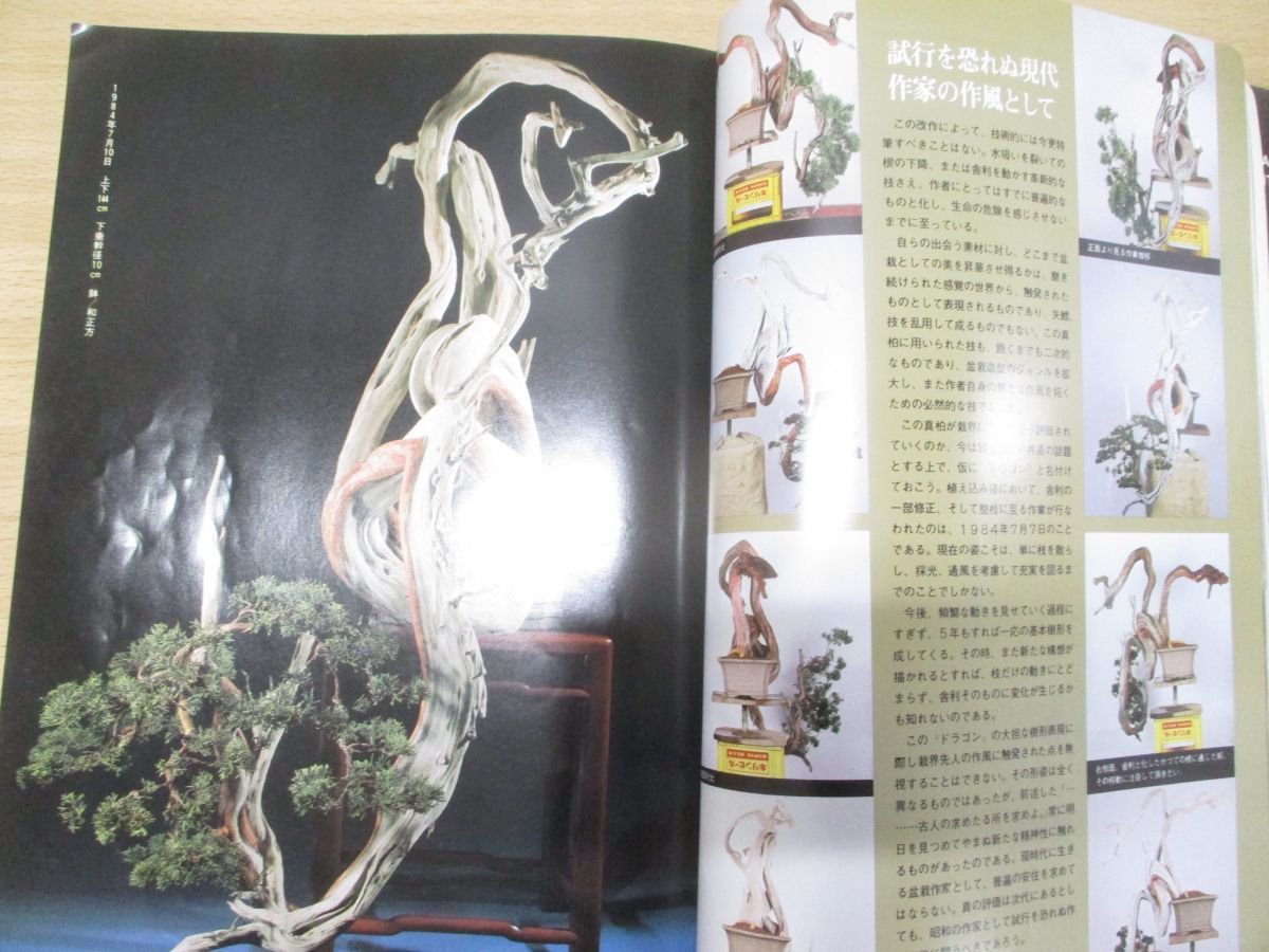 木村正彦 | 国風盆栽展 第63回 平成元年 #masahikokimura #bonsai