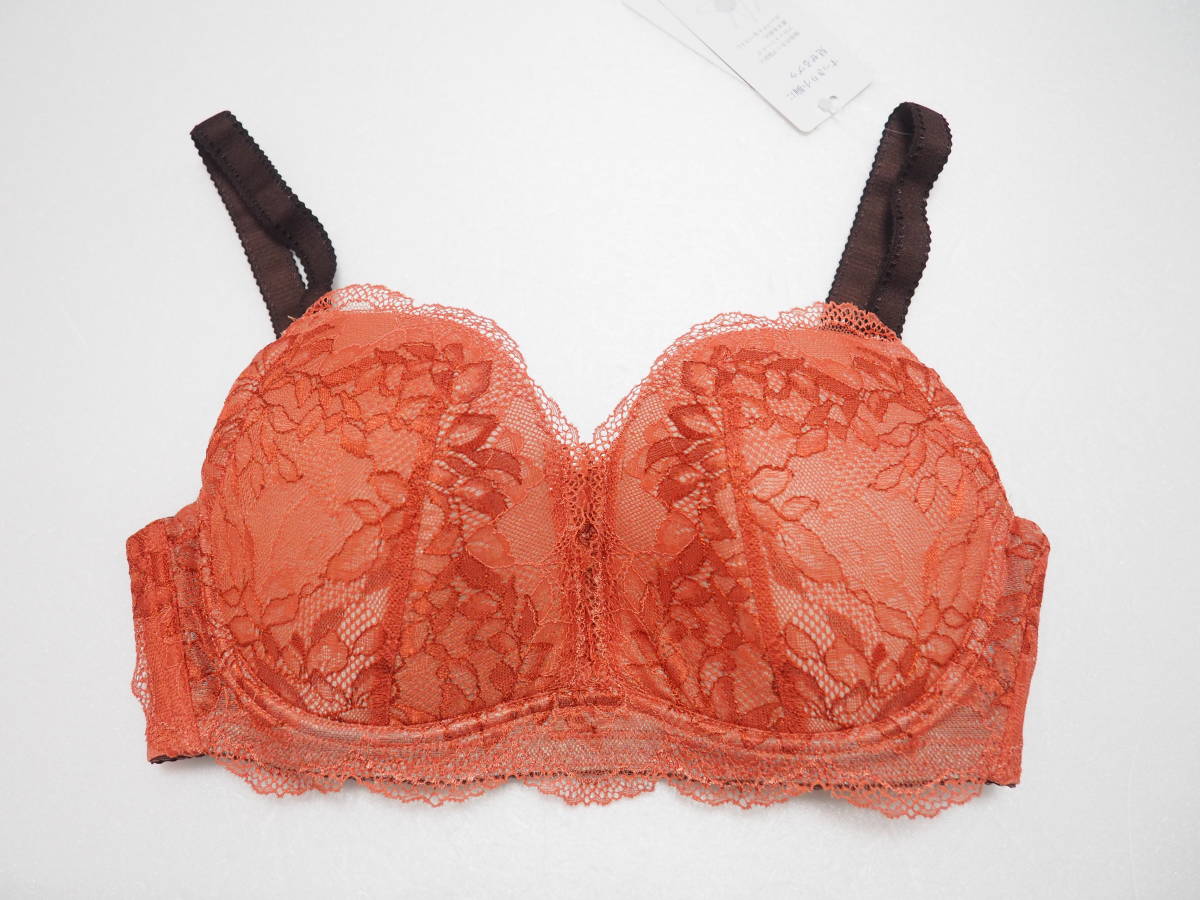 中古【Sカップ +】超特大ブラ 超大きい ブラ ショーツ セット さら 数