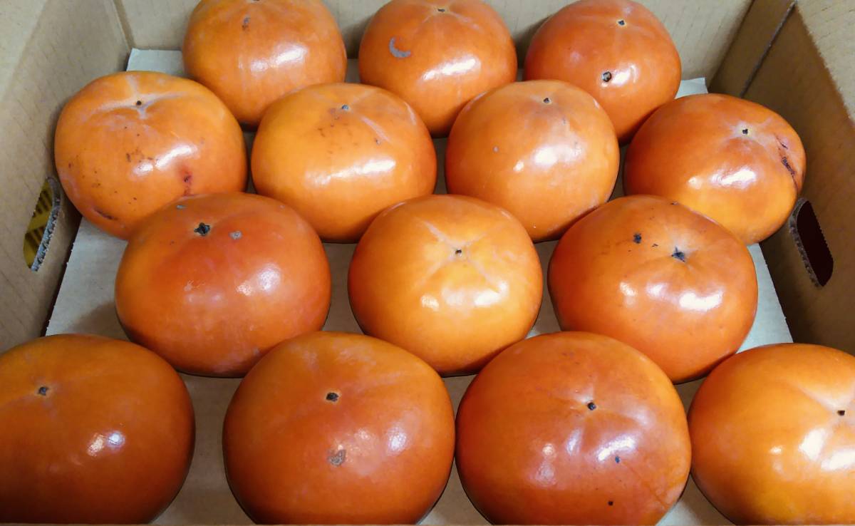  生産者直送 奈良県西吉野産 富有柿10kg 良品Ｌ(柿)｜売買されたオークション情報、yahooの商品情報をアーカイブ公開 - オークファン 柿