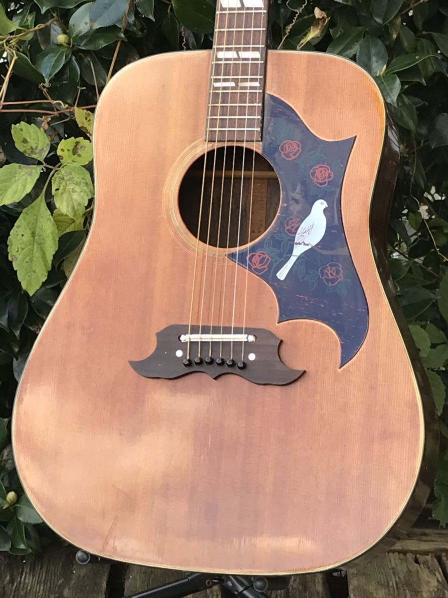DOVE Pearl Yahoo!オークション - パール コピーモデル 70年代 林楽