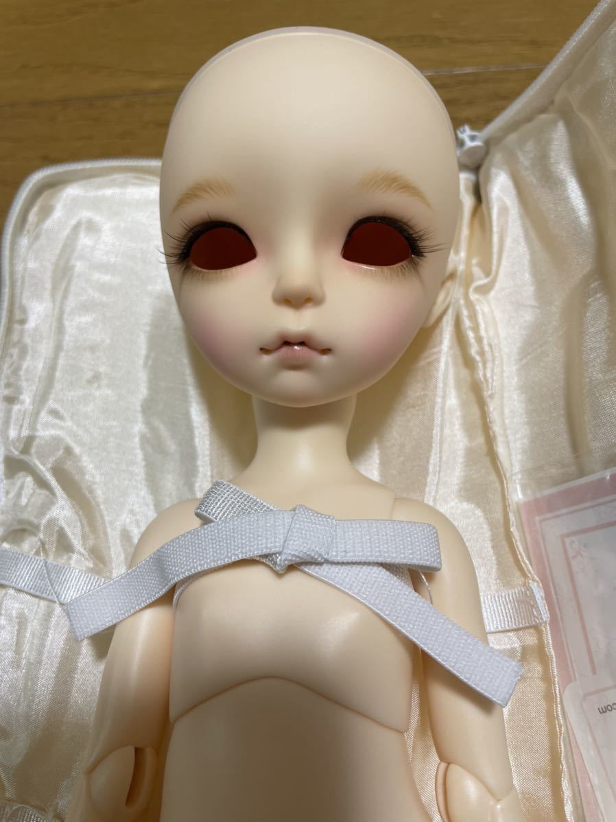 ☆*.iMdadoll Modigli3.0 normal skin.*☆