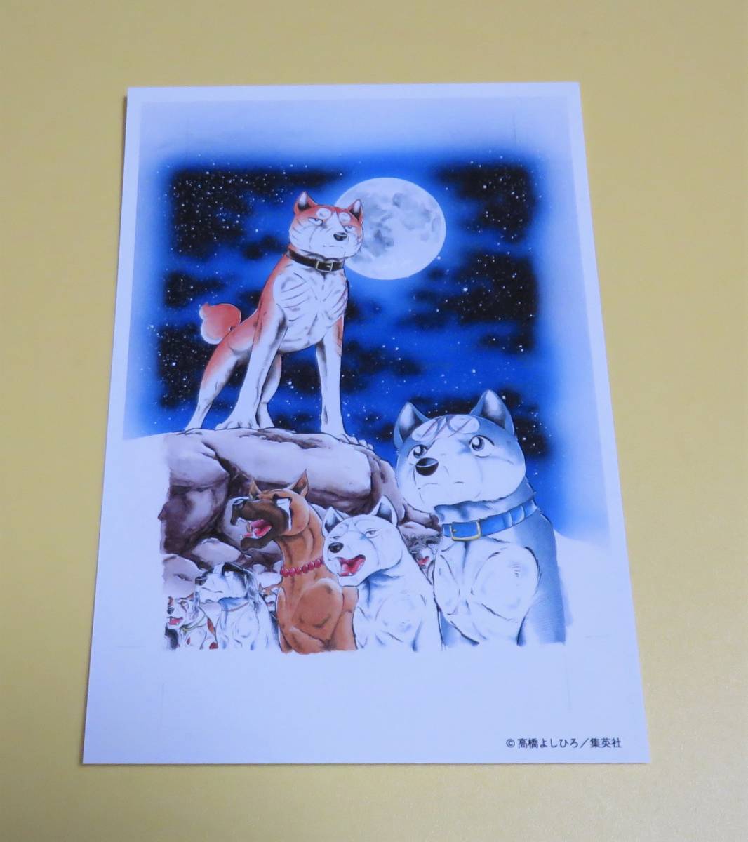 ポストカード 銀牙 流れ星 銀 高橋よしひろ コミック アニメグッズ 売買されたオークション情報 Yahooの商品情報をアーカイブ公開 オークファン Aucfan Com ポストカード 銀牙 流れ星 銀 高橋よしひろ コミック アニメグッズ 売買されたオークション情報 Yahooの商品情報をアーカイブ公開 オークファン Aucfan Com