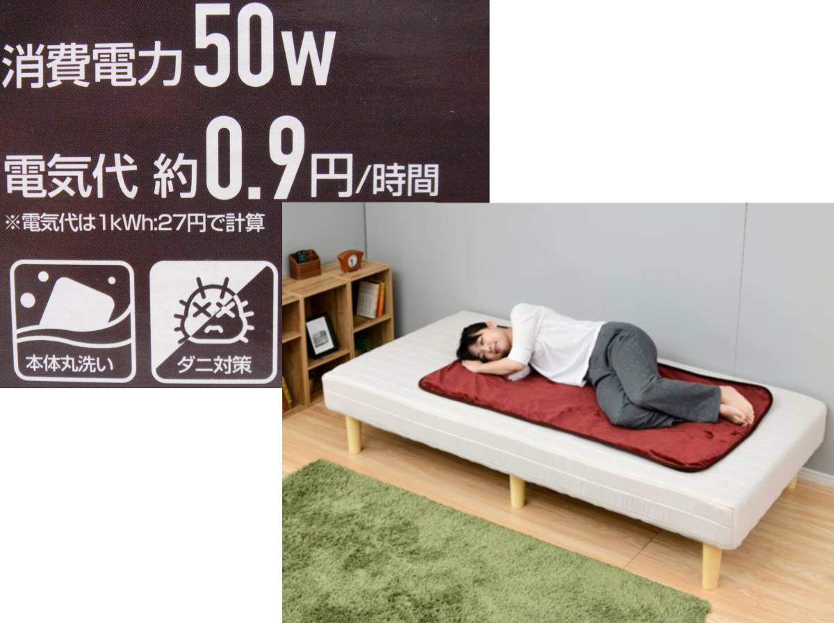 3個セット】寝る消臭元 電気敷毛布 山善×小林製薬 YKSG-F30(EN)