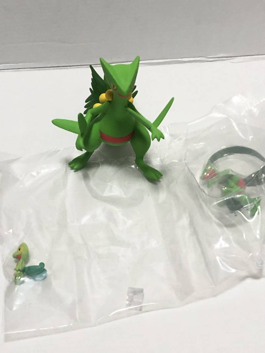 ポケモンスケールワールド ホウエン地方 キモリ ジュプトル ジュカイン 進化セット ポケットモンスター 売買されたオークション情報 Yahooの商品情報をアーカイブ公開 オークファン Aucfan Com
